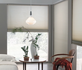 honeycomb shades in Sacramento house